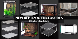 Pet World Inc. Lawrence Experience Reptizoo Terrariums and Habitats check out our new enclosures