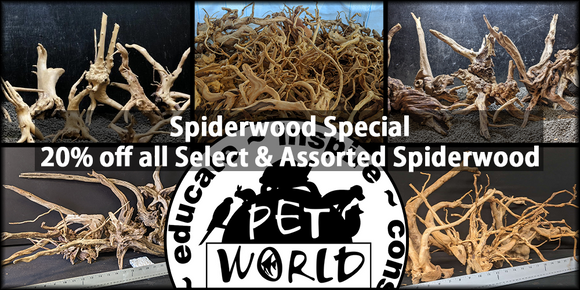 https://petworldlawrenceonline.com/cdn/shop/files/spiderwood_sale_092223_580x.png?v=1695416933