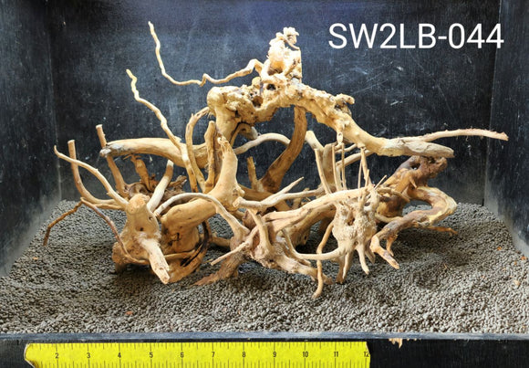 Spiderwood | 2 lb Selected | #044