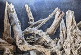 Slight Driftwood | Assorted Bulk