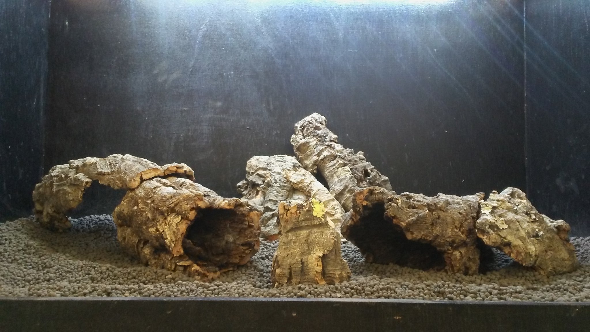 Zoo Med Cork Rounds, X Large CF9 X
