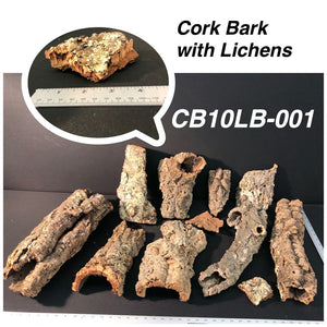 Cork Bark | 10 lbs. Selected | #001
