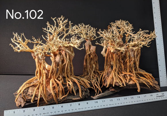 bonsai driftwood tree Extra Large Bonsai | 23.5" x 15.5"