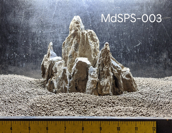 Seiryu Peak Stone | Medium Selected | #003
