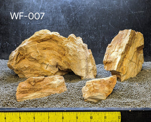 Red Wood Fossil Stone | 10 lbs. Selected | #007