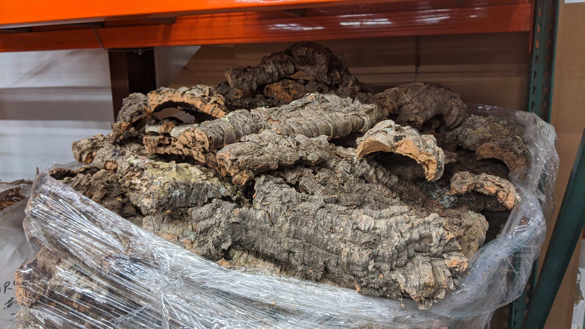 1 Pound Assorted Cork Bark - Natural Reptile Terrarium Decoration & Habitat