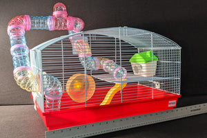 Hamster Home Starter Setup | 23" x 13" x 13"