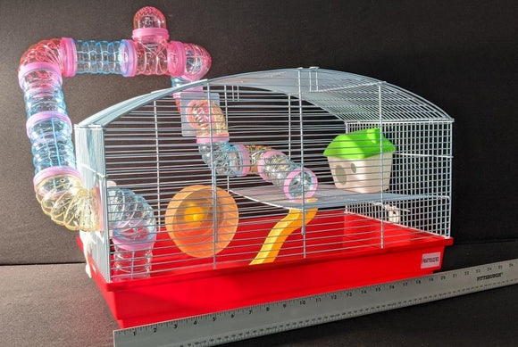 Hamster Home Starter Setup | 23