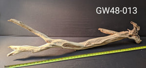 Ghostwood | 48" long | #013