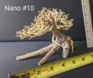 Nano Bonsai | 5.5" x 4.5" | #10