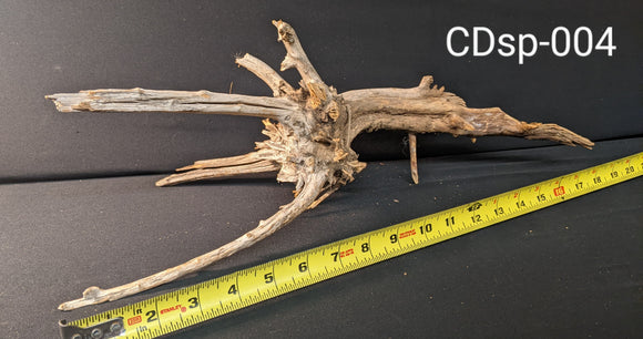 Comnguoi Driftwood | Show-Piece | #004