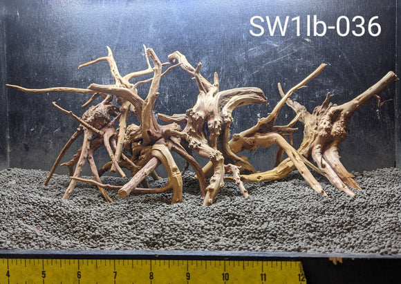 Spiderwood  Assorted Bulk – Pet World Lawrence Online
