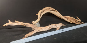 Ghostwood | 2 pc. | 36" long | Assorted Bulk