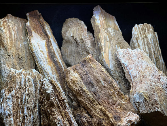 Red Wood Fossil Stone | Assorted Bulk